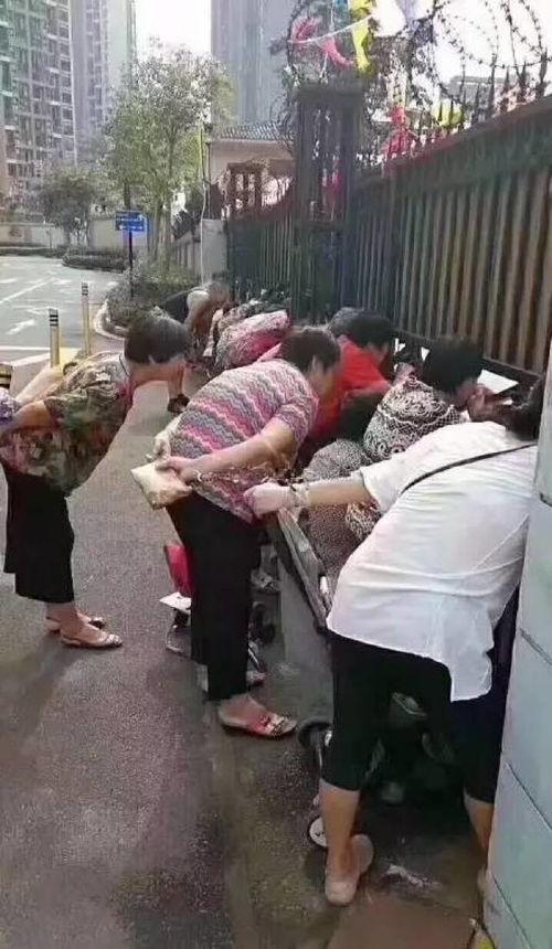 娱乐吃瓜酱人贩子是谁啊,网络谣言与真相的较量 第1张 娱乐吃瓜酱人贩子是谁啊,网络谣言与真相的较量 第1张