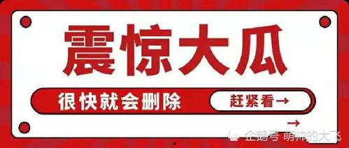娱乐吃瓜八卦账号是什么,网络时代的娱乐风向标 第1张 娱乐吃瓜八卦账号是什么,网络时代的娱乐风向标 第1张