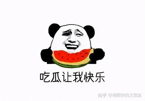娱乐圈吃瓜白底图表情包,吃瓜群众的欢乐源泉 第3张 娱乐圈吃瓜白底图表情包,吃瓜群众的欢乐源泉 第3张