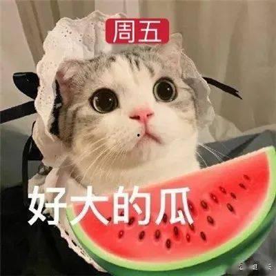 娱乐吃瓜网名女生两个字,李思思的优雅与自信 第1张 娱乐吃瓜网名女生两个字,李思思的优雅与自信 第1张