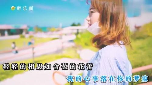 娱乐吃瓜小阿酱是谁啊小说,幕后教父与天才艺人的传奇故事