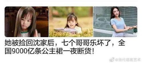 吃瓜系统娱乐圈沙雕小说,沙雕小说中的娱乐圈风云录