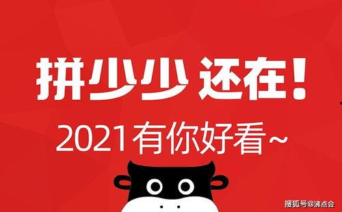 微信公众号吃瓜娱乐圈,揭秘明星幕后故事