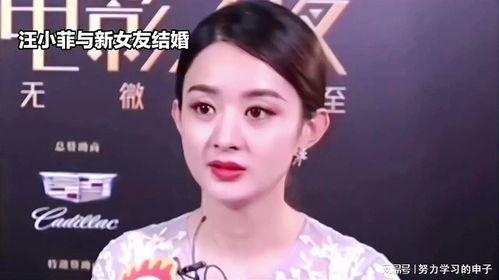 娱乐八卦吃瓜赵丽颖小说,娱乐圈的甜蜜瓜田,揭秘明星背后的爱情故事 第3张 娱乐八卦吃瓜赵丽颖小说,娱乐圈的甜蜜瓜田,揭秘明星背后的爱情故事 第3张