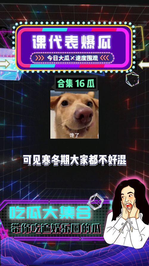 娱乐八卦吃瓜每日爆料,每日吃瓜爆料，明星幕后故事大公开