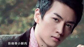 娱乐陈晓吃瓜小说下载,娱乐圈的甜蜜陷阱  第3张