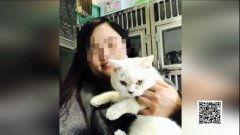 娱乐吃瓜酱小猫坐公交车,萌宠坐公交，趣味横生一幕  第3张