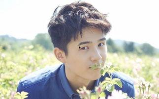 娱乐圈吃瓜陈姓男星都有谁,揭秘那些年我们追过的星  第3张