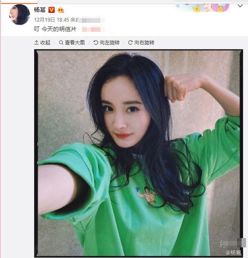 吃瓜娱乐圈杨幂是谁啊,娱乐圈当红小花杨幂的瓜田传奇  第2张