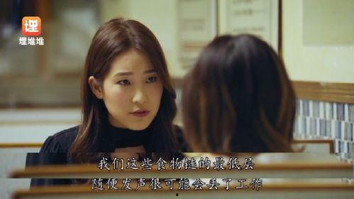 我在娱乐圈吃瓜小说,揭秘明星背后的秘密与八卦风云  第3张