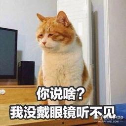 喵星娱乐吃瓜群众是谁,揭秘“吃瓜群众”背后的神秘力量 第3张 喵星娱乐吃瓜群众是谁,揭秘“吃瓜群众”背后的神秘力量 第3张