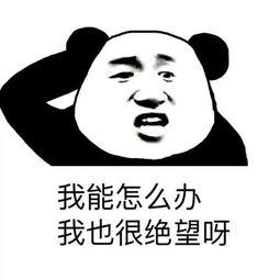 娱乐吃瓜酱艾特你的对象,揭秘明星背后的那些事儿  第3张