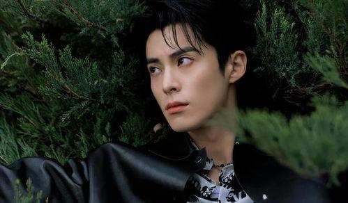 王鹤棣娱乐爆料八卦吃瓜,揭秘娱乐圈背后的八卦风云 第3张 王鹤棣娱乐爆料八卦吃瓜,揭秘娱乐圈背后的八卦风云 第3张