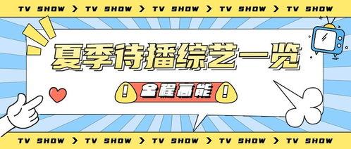 吃瓜营销号娱乐号怎么做,如何玩转娱乐号吸粉攻略 第2张 吃瓜营销号娱乐号怎么做,如何玩转娱乐号吸粉攻略 第2张