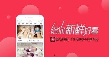 娱乐吃瓜的视频封面怎么制作的,吸睛秘籍大公开 第3张 娱乐吃瓜的视频封面怎么制作的,吸睛秘籍大公开 第3张