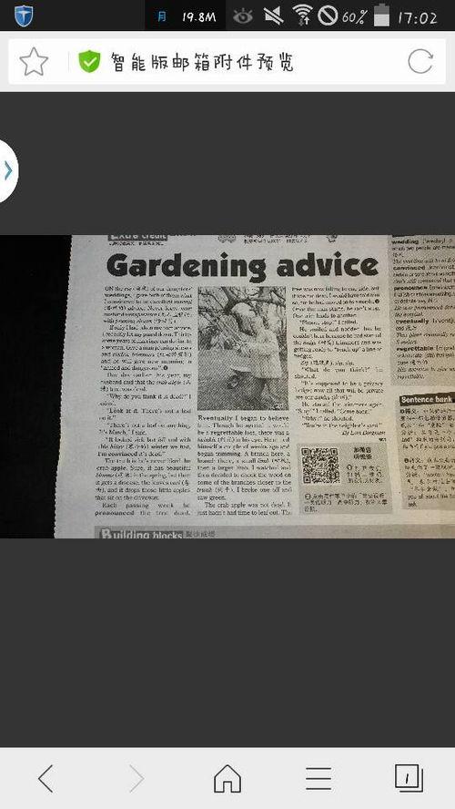 娱乐吃瓜酱英语翻译怎么写,From 'Entertainment Gossipy Sauce' to English: Crafting a Captivating Article Subtitle  第2张