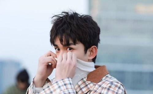 娱乐圈吃瓜吴磊是谁,揭秘他的星途与人气背后的故事  第2张