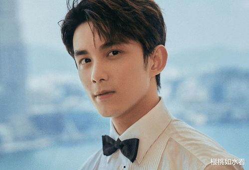 娱乐圈吃瓜吴磊是谁,揭秘他的星途与人气背后的故事  第3张