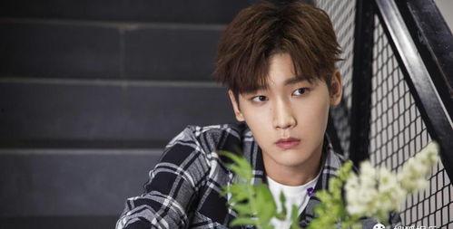 吃瓜娱乐爆料刘宇宁事件  第3张