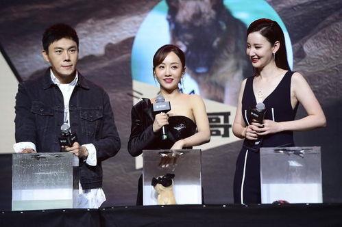 娱乐圈吃瓜爆料背景图片,揭秘吃瓜爆料的背后真相  第2张