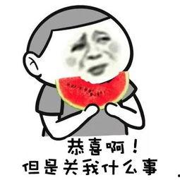 吃瓜群众娱乐大百科视频,揭秘娱乐圈幕后故事与趣味瞬间  第3张