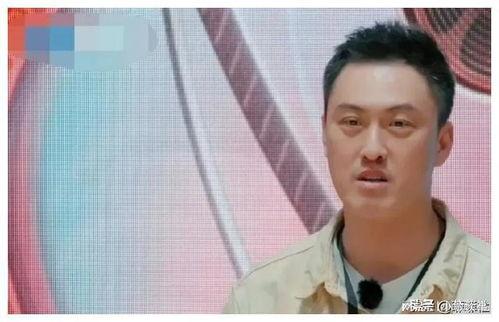 娱乐圈吃瓜爆料理科生,理科生视角下的娱乐圈吃瓜揭秘  第2张