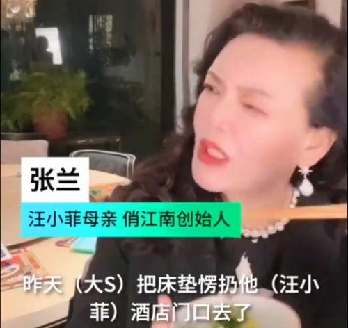 娱乐吃瓜酱都说了还得看亲妈,真相究竟如何？  第3张